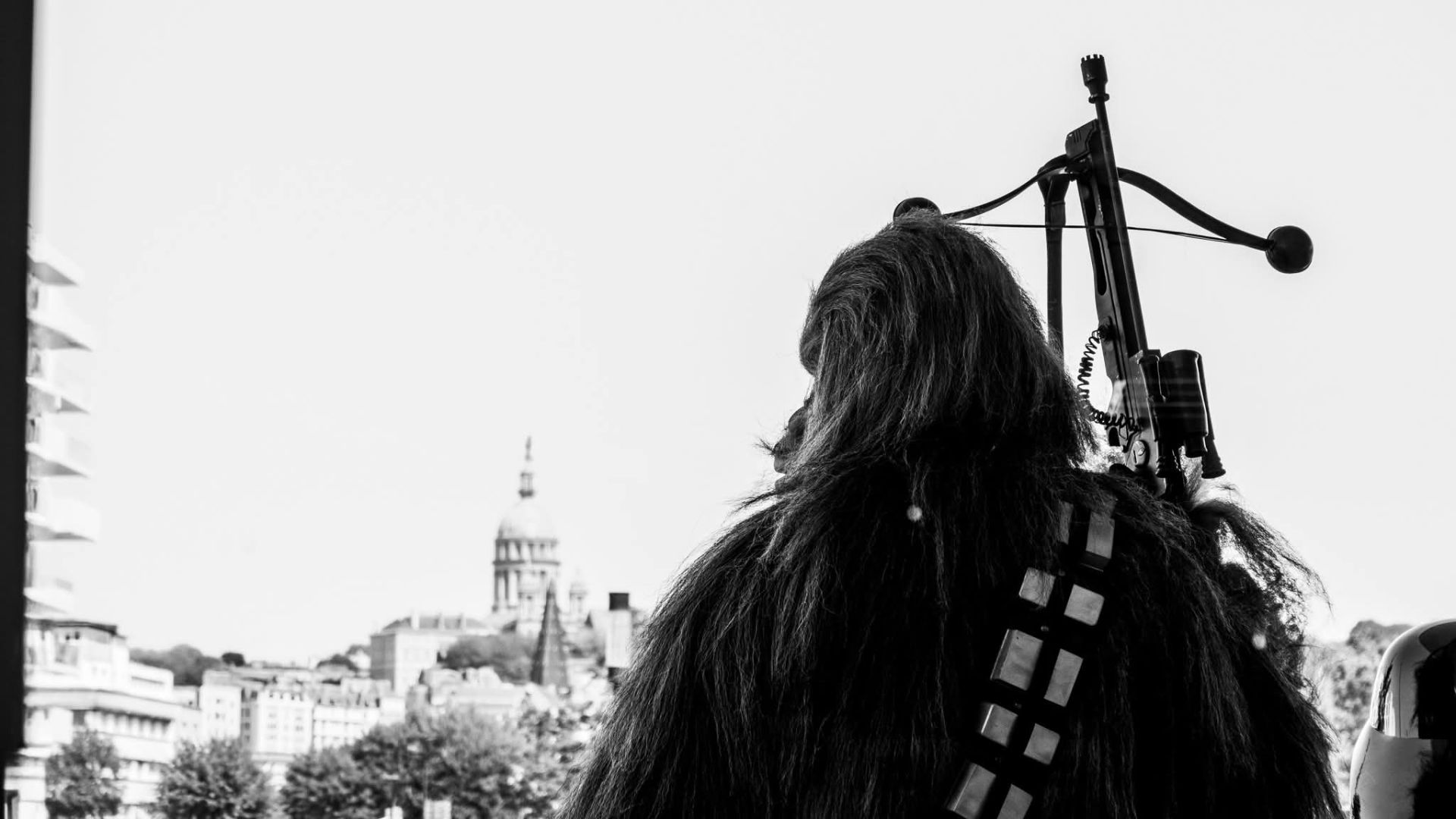 © FMphotographeArt